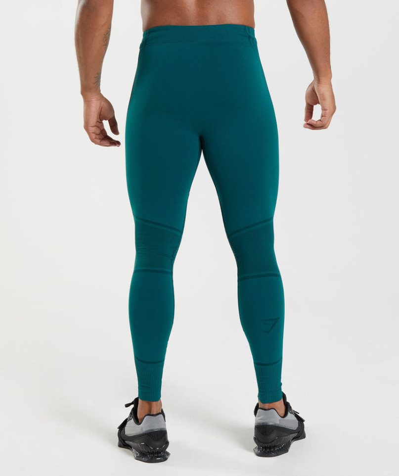 Legginsy Gymshark 315 Seamless Męskie Turkusowe | PL 496JHL